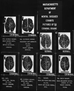 nature and nurture controversy